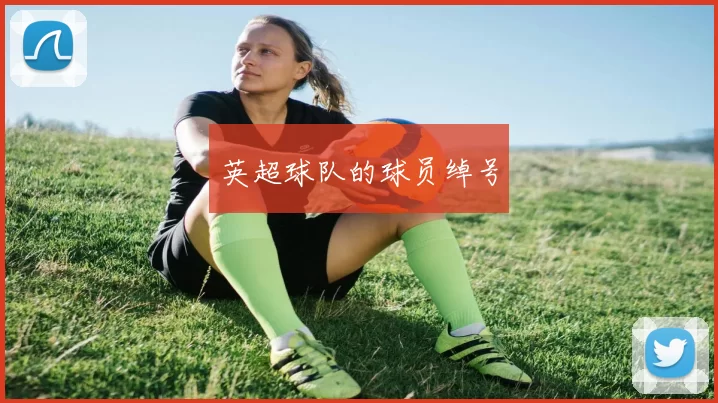 英超球队的球员绰号