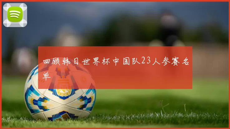 回顾韩日世界杯中国队23人参赛名单