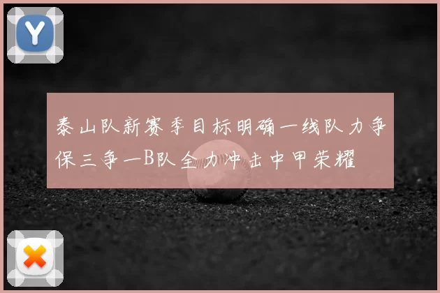 泰山队新赛季目标明确一线队力争保三争一B队全力冲击中甲荣耀