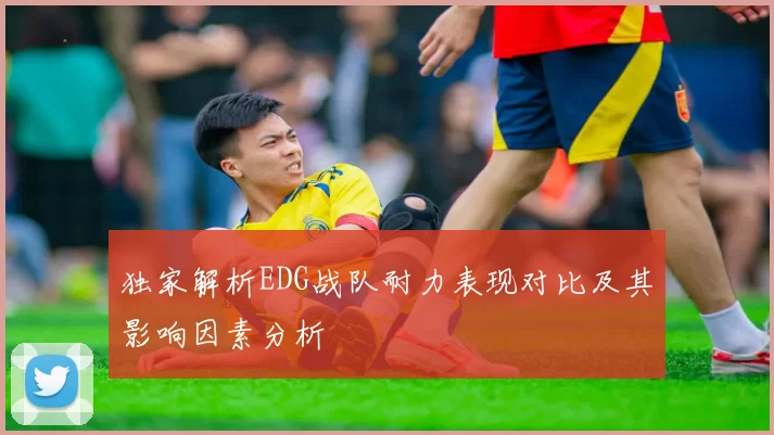 独家解析EDG战队耐力表现对比及其影响因素分析
