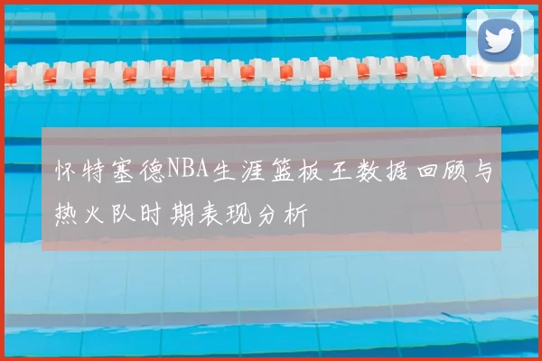 怀特塞德NBA生涯篮板王数据回顾与热火队时期表现分析