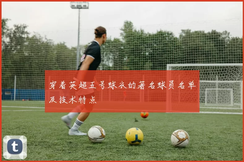 穿着英超五号球衣的著名球员名单及技术特点