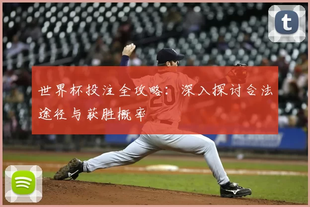 世界杯投注全攻略:深入探讨合法途径与获胜概率