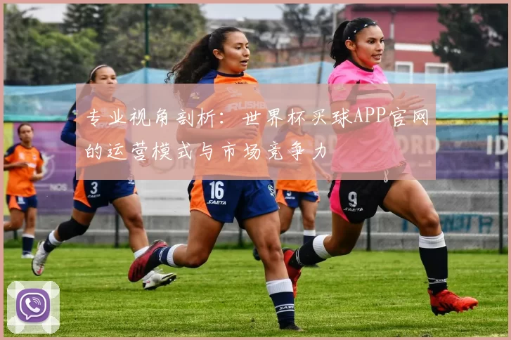 专业视角剖析:世界杯买球APP官网的运营模式与市场竞争力