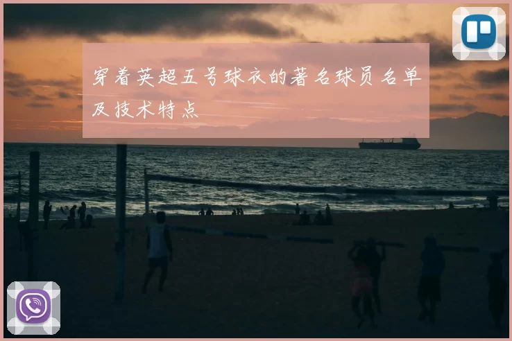 穿着英超五号球衣的著名球员名单及技术特点