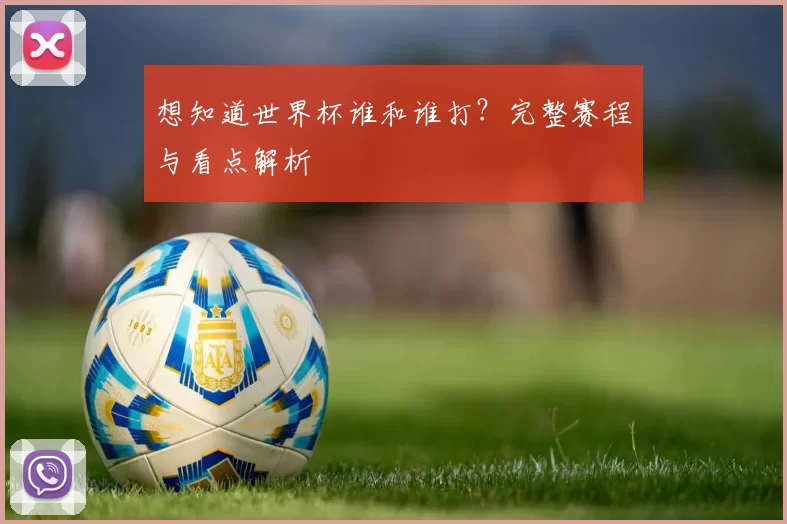想知道世界杯谁和谁打?完整赛程与看点解析