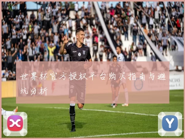 世界杯官方授权平台购买指南与避坑分析