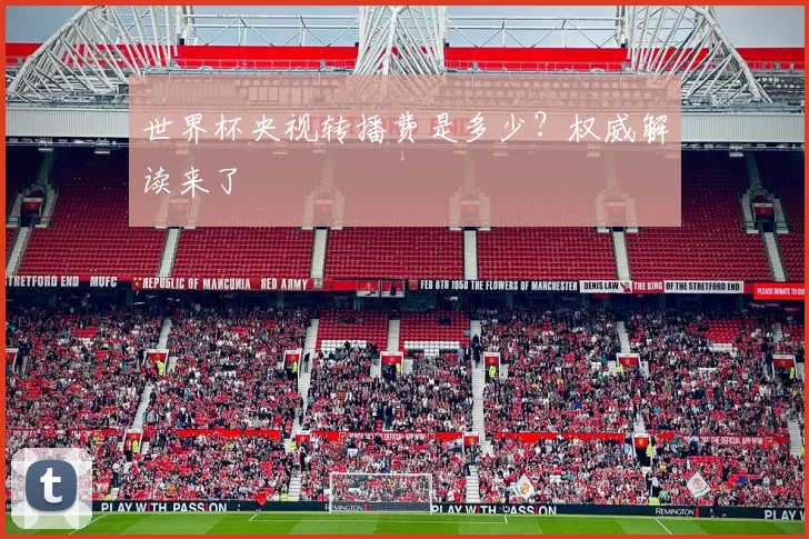 世界杯央视转播费是多少？权威解读来了