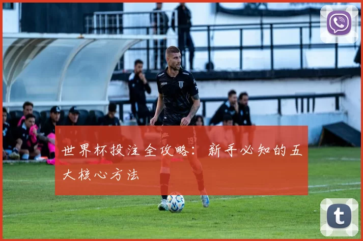 世界杯投注全攻略：新手必知的五大核心方法